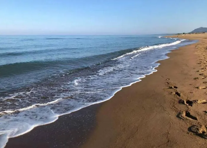 Phyllida - M4 زاخارو