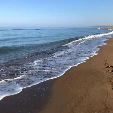 Phyllida - M4 Захаро